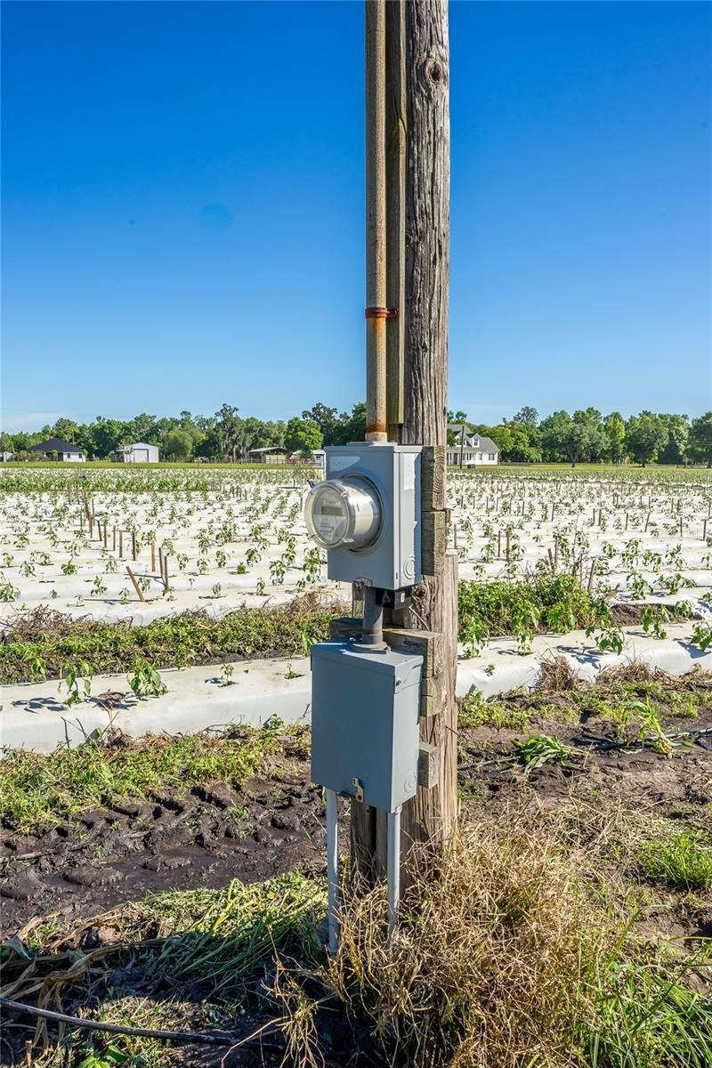 3811 Old Mulberry Road, Plant City, FL 33567 Photo