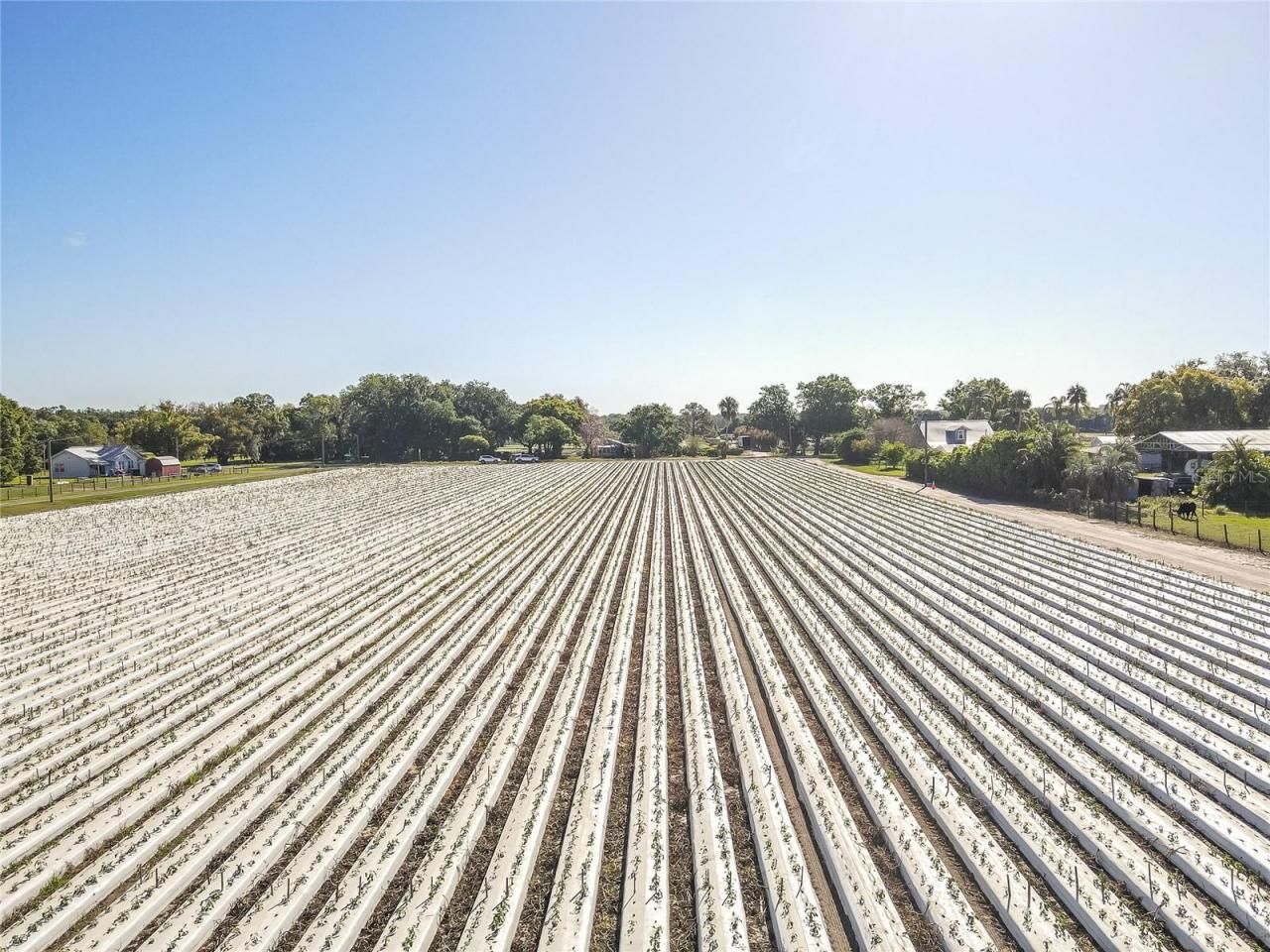 3811 Old Mulberry Road, Plant City, FL 33567 Photo