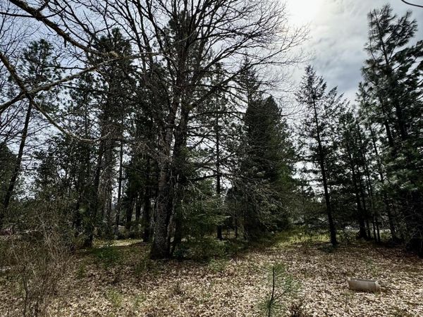 N Old Stage Road, Cave Junction, OR 97523