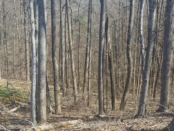 Lot 76 Golf Course Road, Unicoi, TN 37692