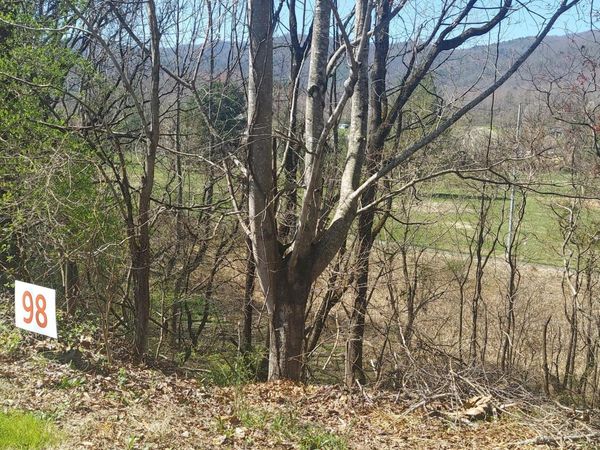 98 Country Club Drive, Unicoi, TN 37692