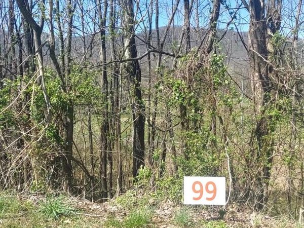 Lot 99 Country Club Drive, Unicoi, TN 37692