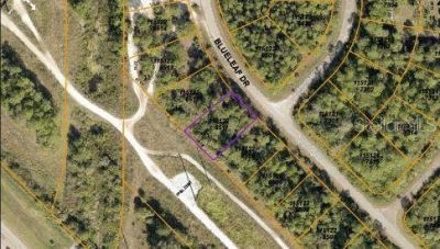 Blueleaf Drive, North Port, FL 34288 Photo