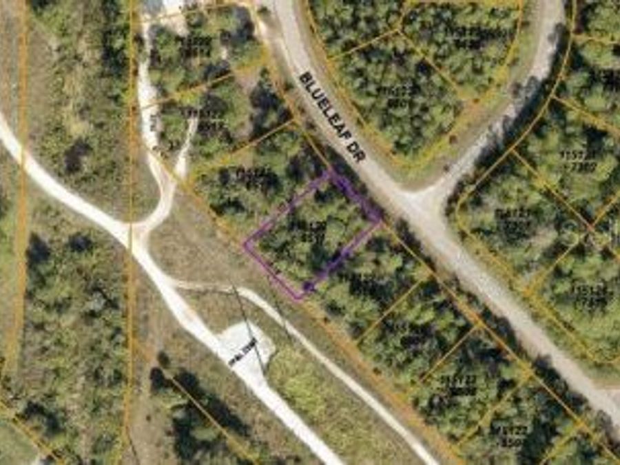 Property Image 5