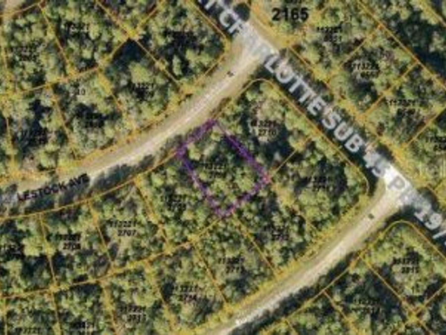 Property Image 6