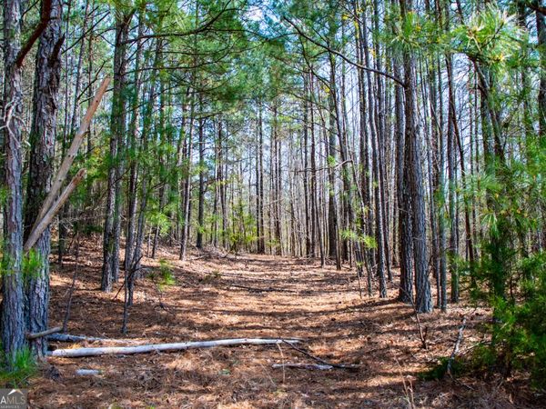 3940 Clinton Court, Villa Rica, GA 30180