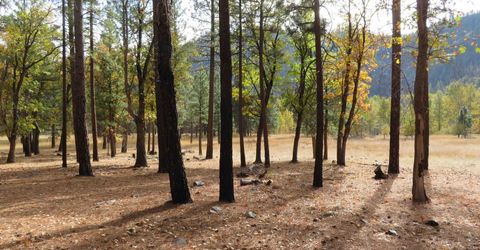 476 Genesee Indian Creek Road, Taylorsville, CA 95983 Photo