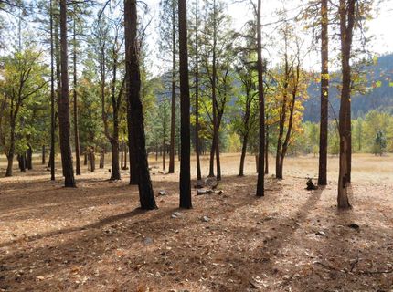 476 Genesee Indian Creek Road, Taylorsville, CA 95983 Photo