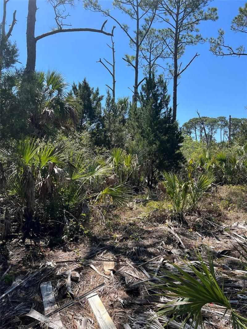 Rye Key, Cedar Key, FL 32625 Photo