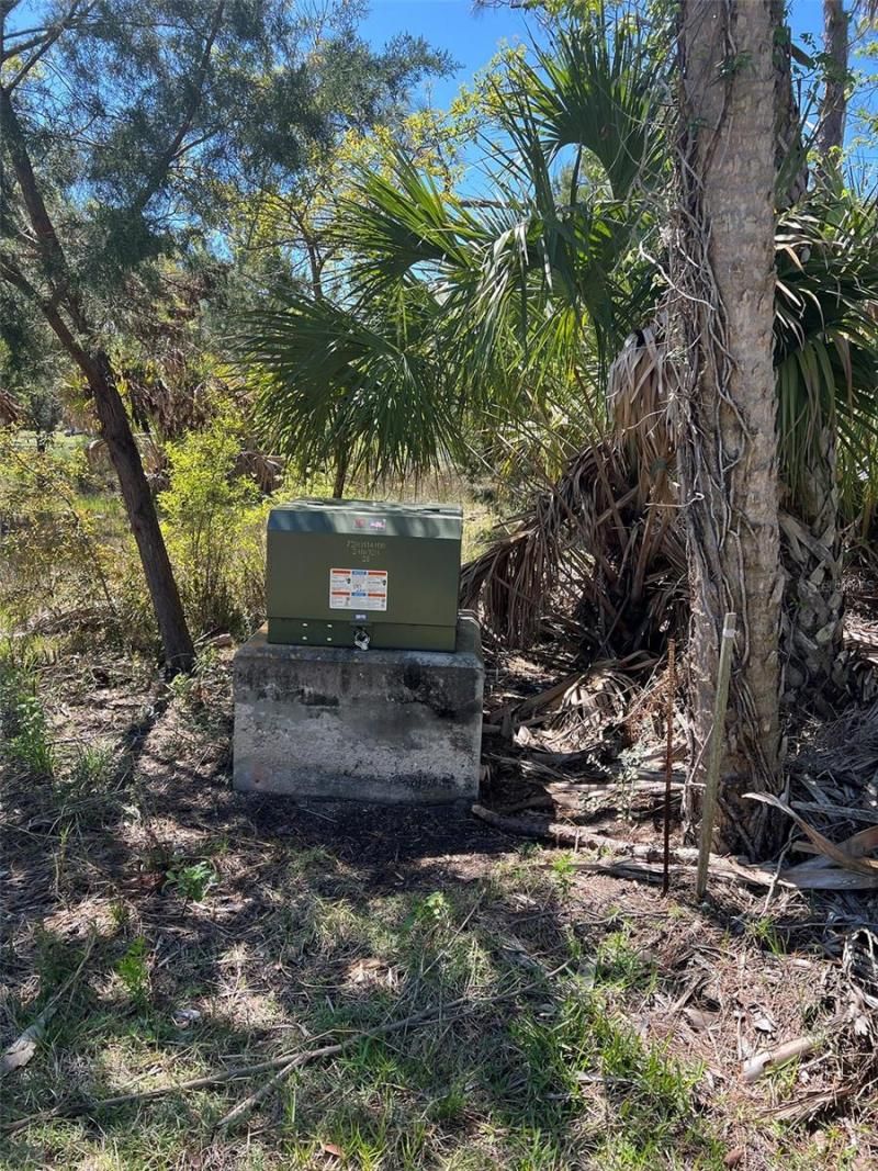 Rye Key, Cedar Key, FL 32625 Photo