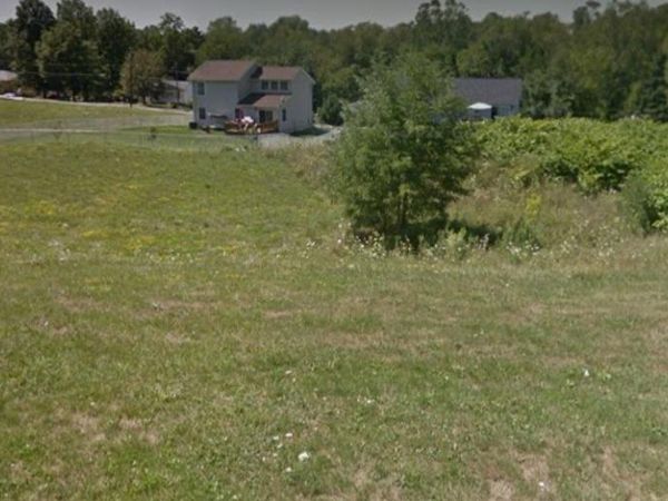 Springdale Avenue, Wintersville, OH 43953