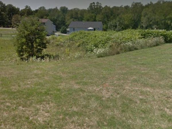 Springdale Avenue, Wintersville, OH 43953