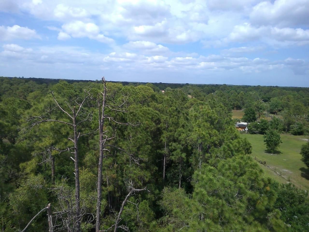 421 Avenida Del Sur, Clewiston, FL 33440 Photo