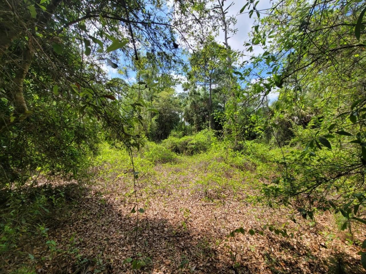 421 Avenida Del Sur, Clewiston, FL 33440 Photo