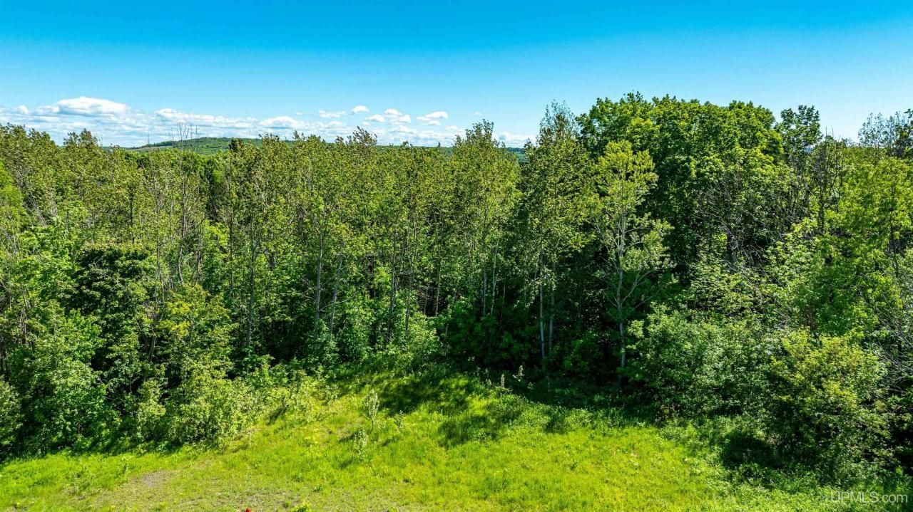 Lot 52 Maplewood Glade, Hancock, MI 49930 Main Photo