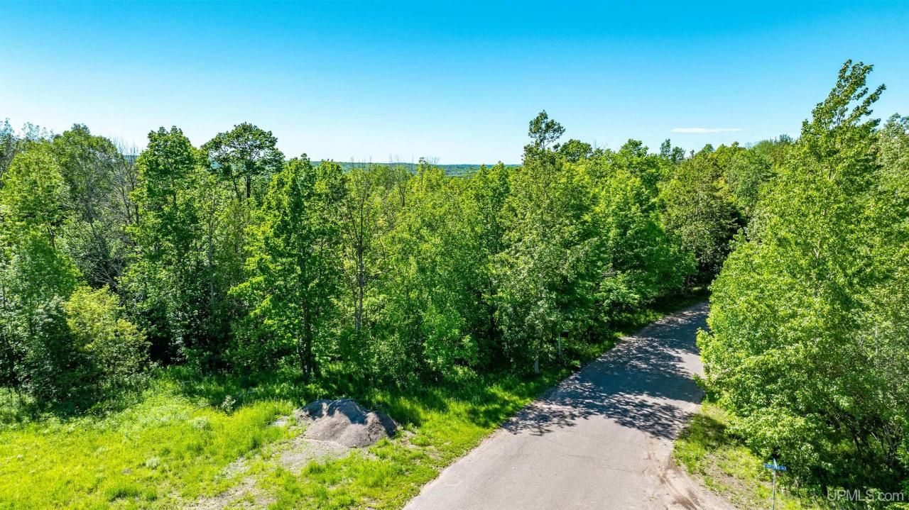 Lot 54 Maplewood Glade, Hancock, MI 49930 Main Photo