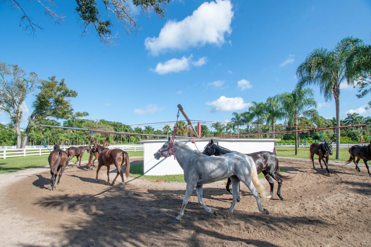 1044 D Road, Loxahatchee Groves, FL 33470 Photo