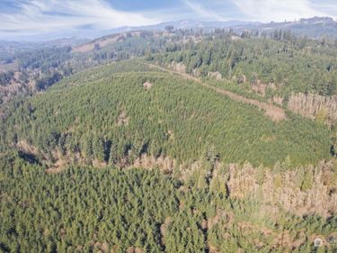 0 Cedar Mist Road, Amboy, WA 98601