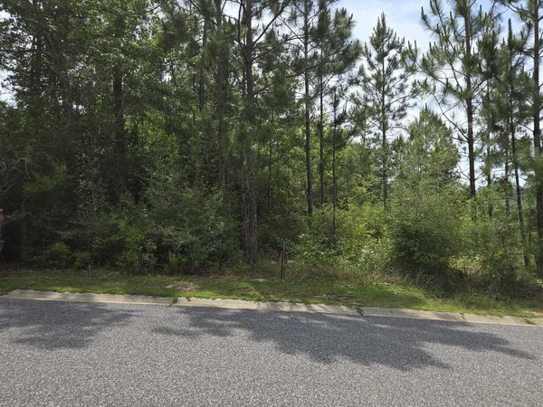 37 W Wildflower Trail, Spanish Fort, AL 36527