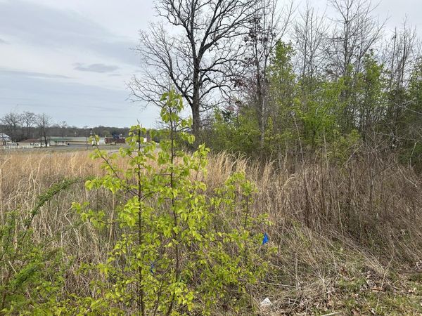 605 S Wall St, Shelbyville, TN 37160