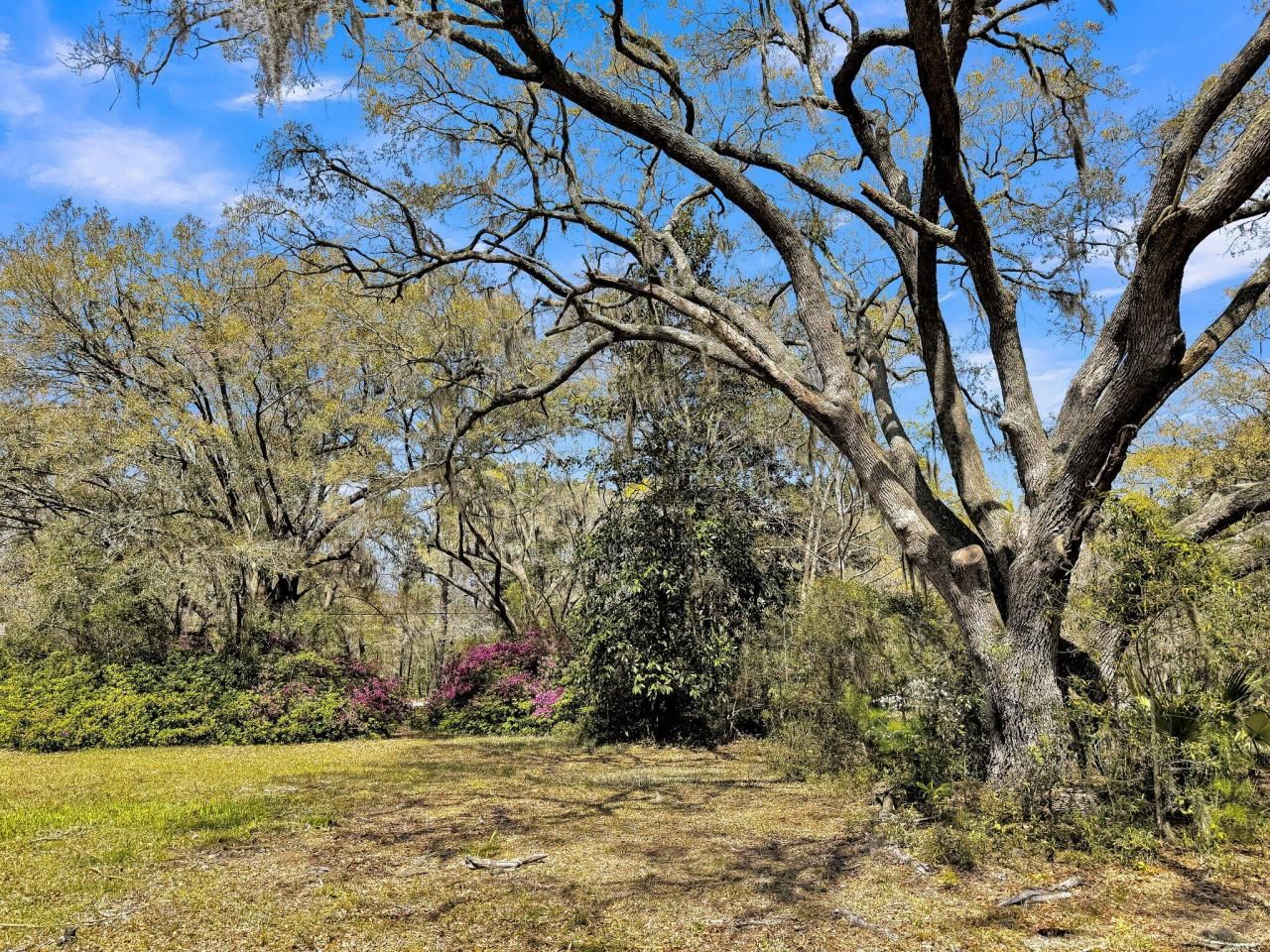 2591 Bohicket Road Photo 7