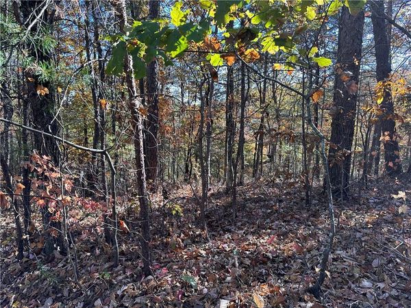 1686 Shade Tree Drive, Talking Rock, GA 30175