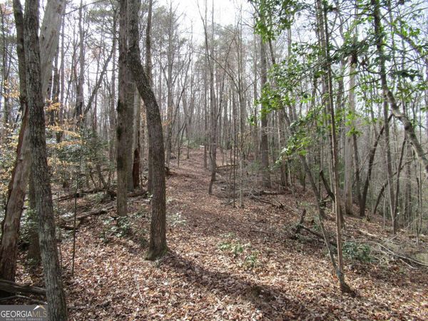 0 Long Branch Road, Dahlonega, GA 30533