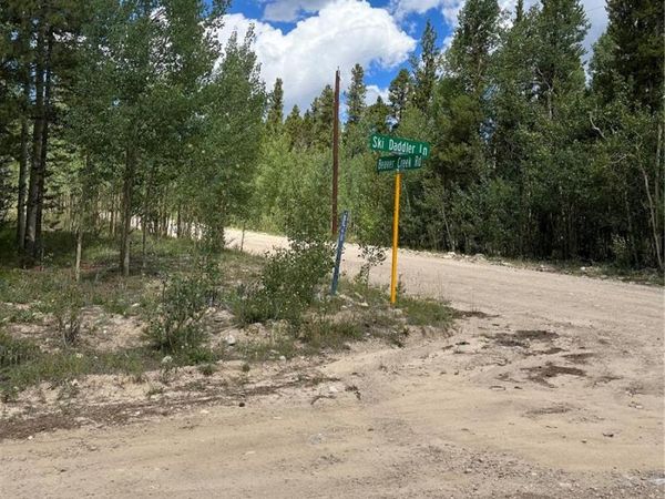 235 Ski Doo Road, Fairplay, CO 80440