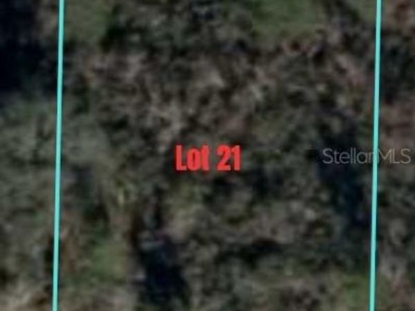 NE 63RD PLACE, WILLISTON, FL 32696