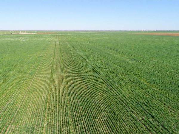 TBD County Rd 81 S, Vernon, TX 76384
