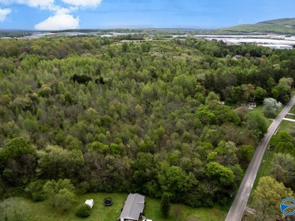 75.72 Acres Carters Gin Road, Toney, AL 35773