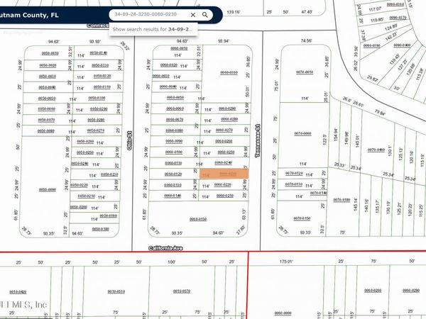 0 UNASSIGNED LOCATION, Interlachen, FL 32148