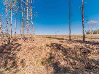 Duncan Road, Unit 3, Batesburg, SC 29006