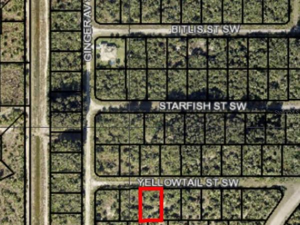 870 YELLOWTAIL STREET SW, PALM BAY, FL 32908