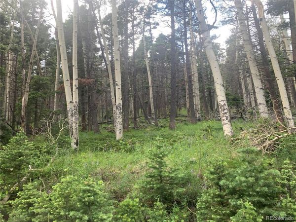 2952 LARRY Place, Fort Garland, CO 81133