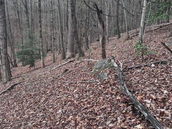 0 Wilkerson Court, Lake Lure, NC 28746