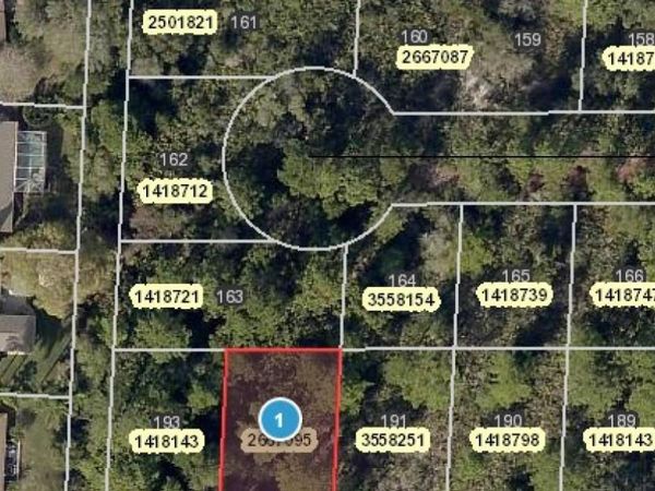 PARK FOREST BOULEVARD, MOUNT DORA, FL 32757