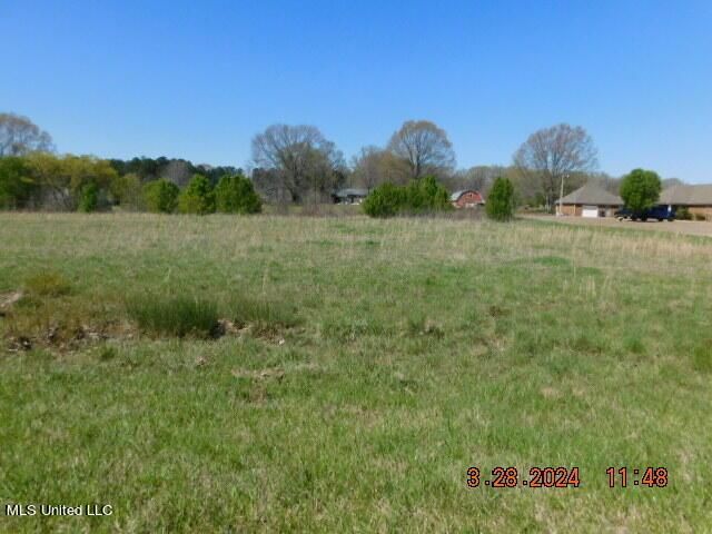 4641 Grazeland Drive, Olive Branch, MS 38654 Main Photo