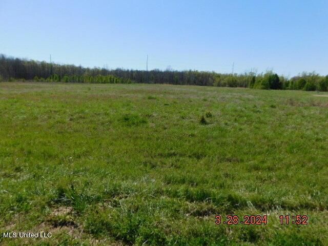 14243 Stockade Drive, Olive Branch, MS 38654 Main Photo