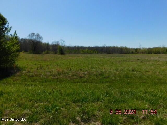 14291 Stockade Drive, Olive Branch, MS 38654 Main Photo