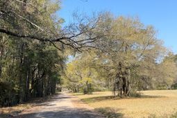 Lot #3 Old Military Road photo 4