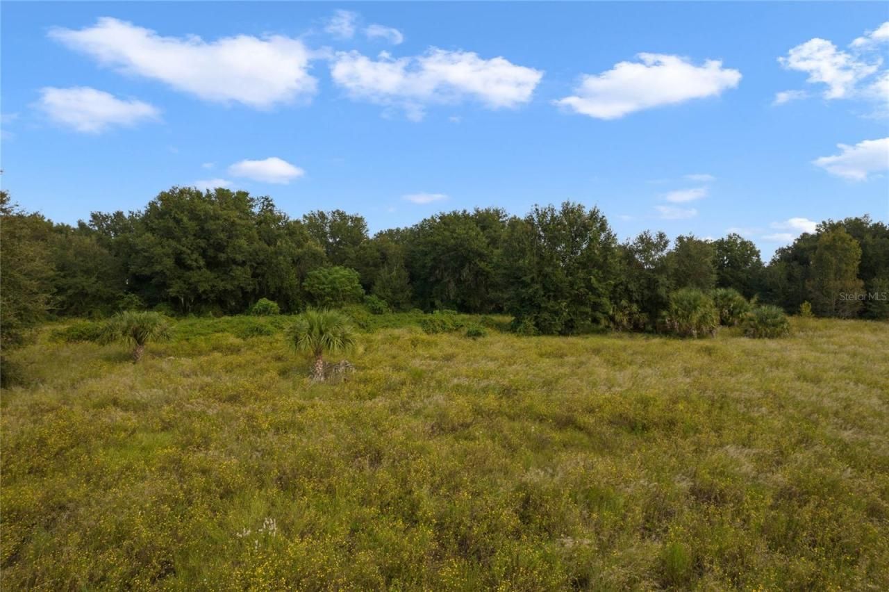 County Road 48, Yalaha, FL 34797 Photo