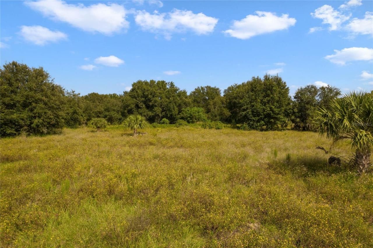 County Road 48, Yalaha, FL 34797 Photo