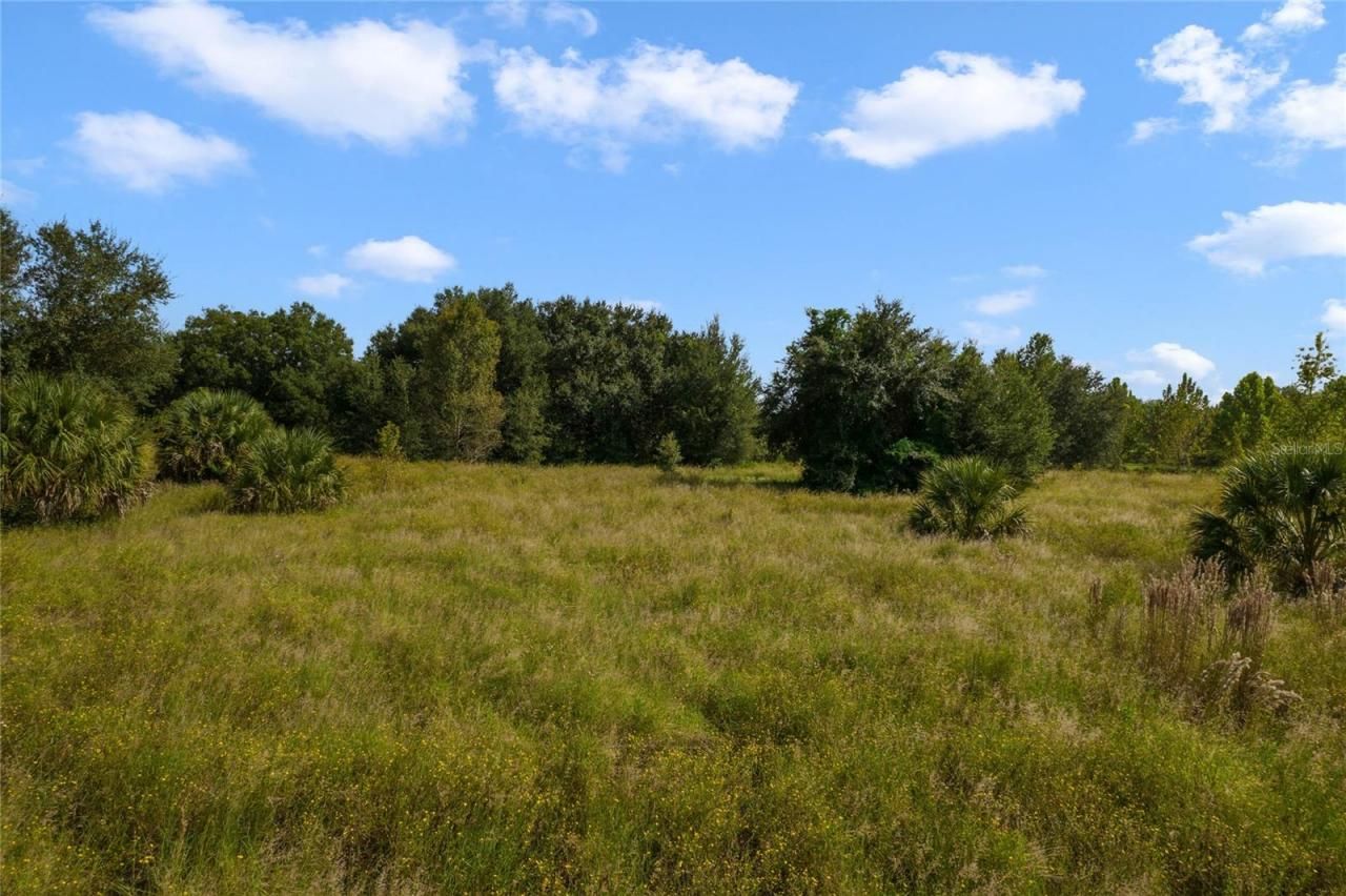 County Road 48, Yalaha, FL 34797 Photo