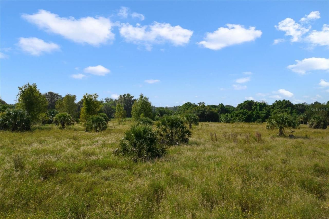 County Road 48, Yalaha, FL 34797 Photo