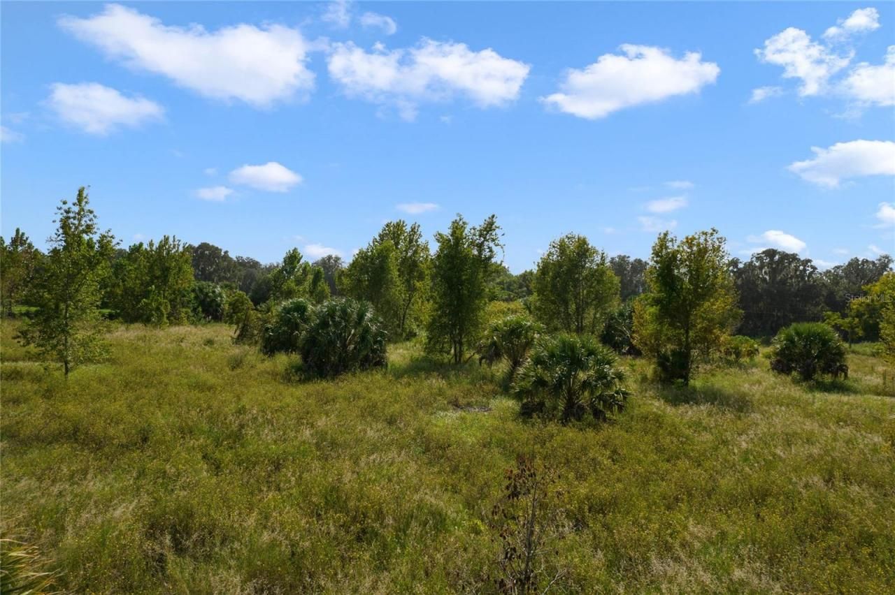 County Road 48, Yalaha, FL 34797 Photo