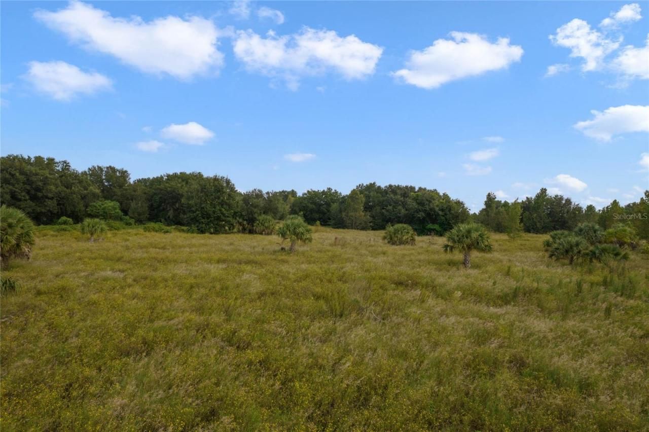 County Road 48, Yalaha, FL 34797 Photo