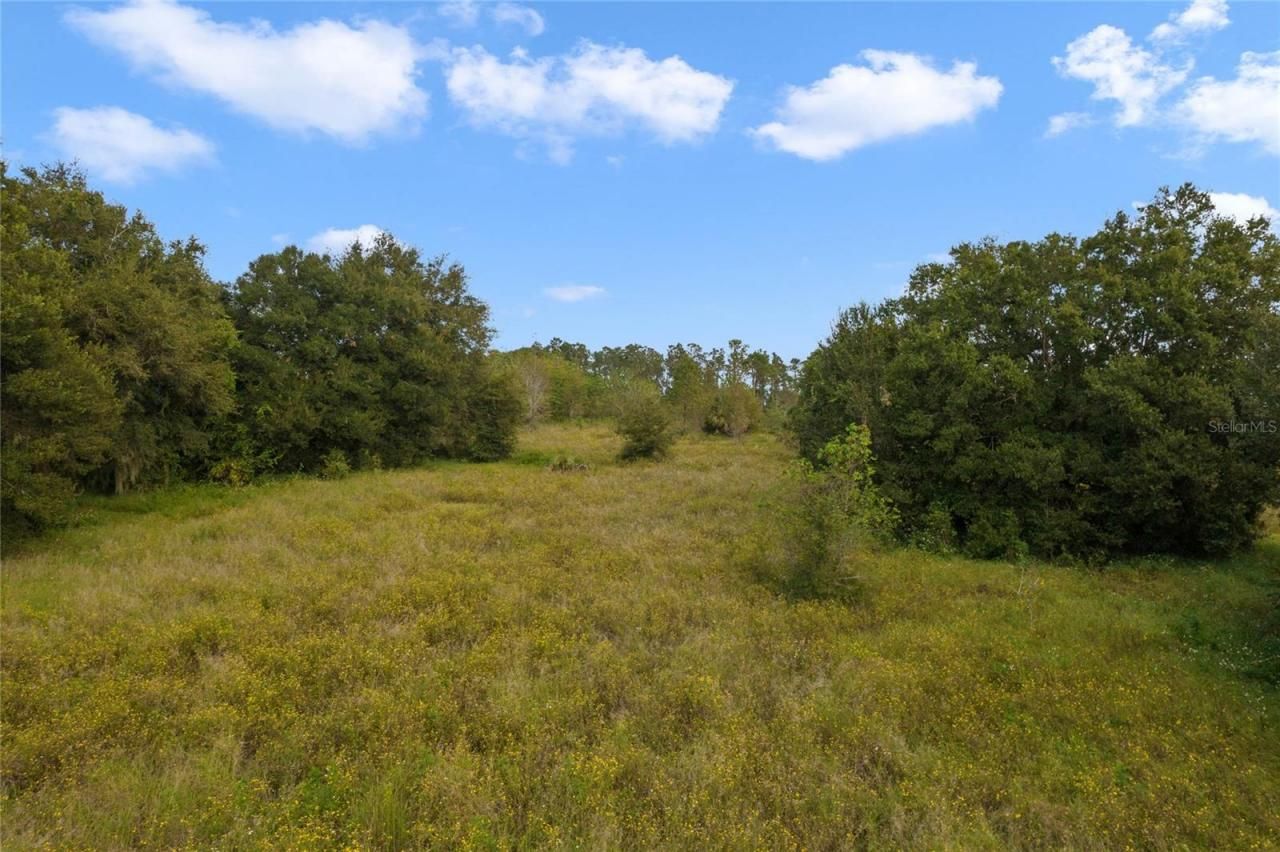 County Road 48, Yalaha, FL 34797 Photo