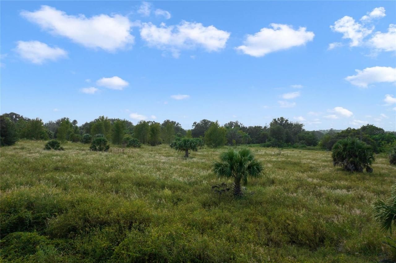 County Road 48, Yalaha, FL 34797 Photo