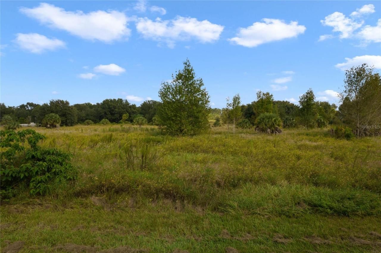 County Road 48, Yalaha, FL 34797 Photo